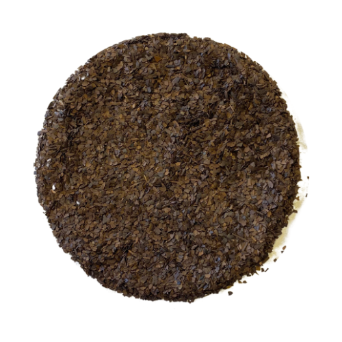 𝗠𝗔𝗧𝗘 𝗧𝗢𝗥𝗥𝗘𝗙𝗜𝗘 - BIO