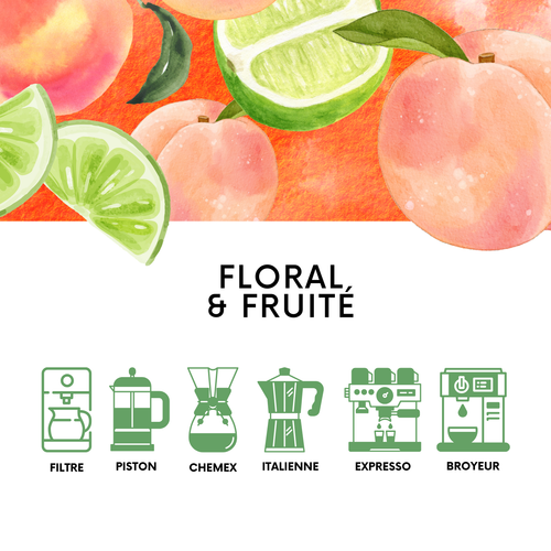 𝗘𝗧𝗛𝗜𝗢𝗣𝗜𝗘 - Halo Beriti - Café du moment