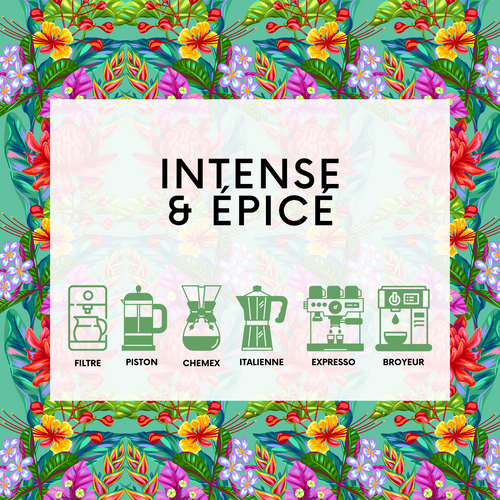𝗜𝗡𝗗𝗢𝗡𝗘𝗦𝗜𝗘 - Sumatra Aceh BIO