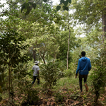 𝗘𝗧𝗛𝗜𝗢𝗣𝗜𝗘 - Yabitu coba BIO