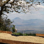 𝗘𝗟 𝗦𝗔𝗟𝗩𝗔𝗗𝗢𝗥 - Villa Gacilia