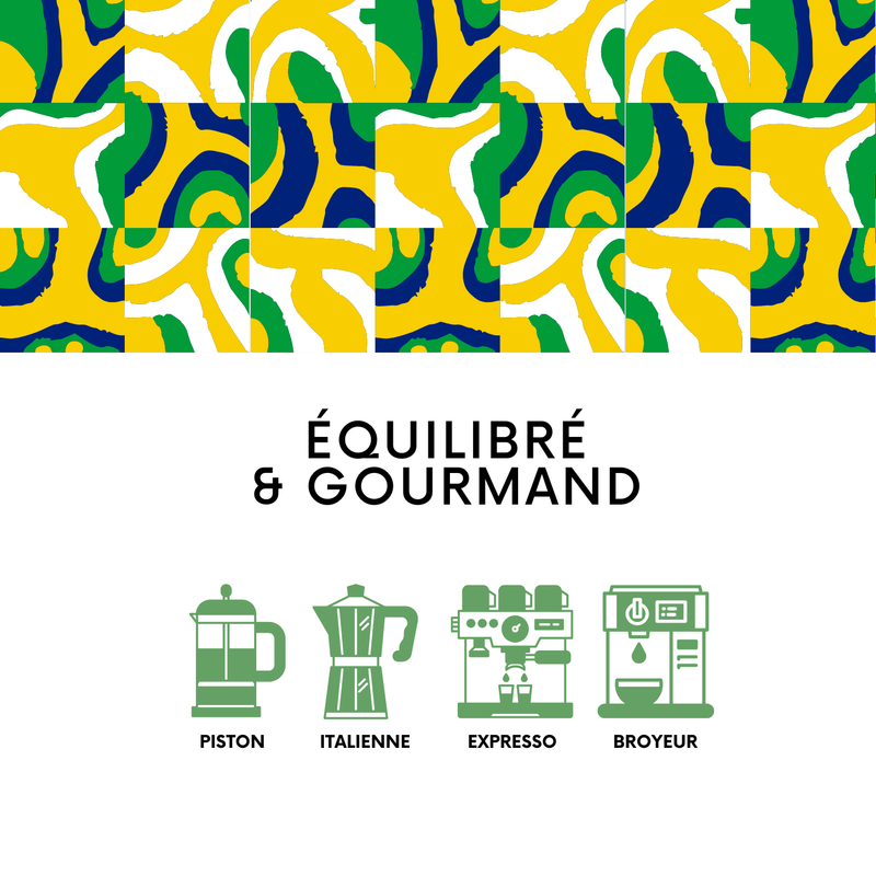 𝗕𝗥𝗘𝗦𝗜𝗟 - Cerrado