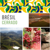 𝗕𝗥𝗘𝗦𝗜𝗟 - Cerrado