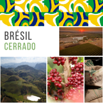𝗕𝗥𝗘𝗦𝗜𝗟 - Cerrado