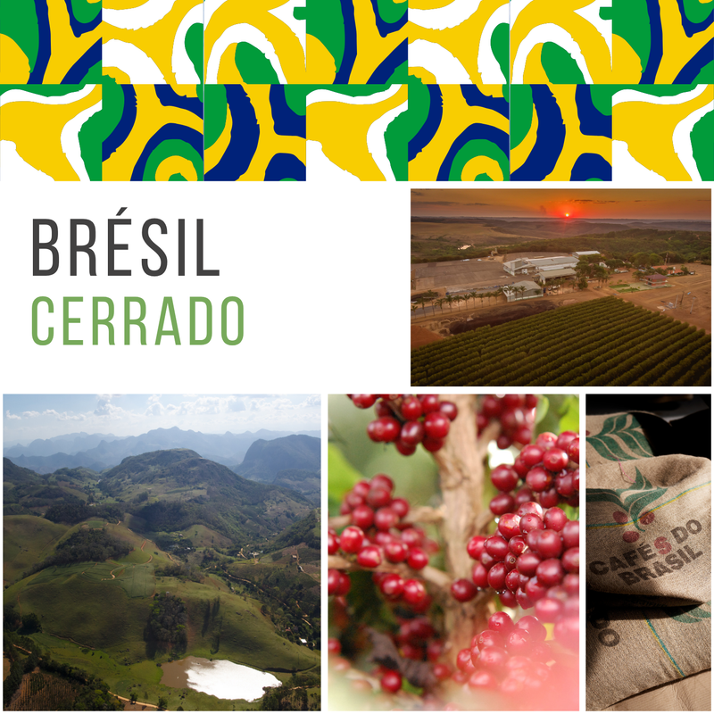 𝗕𝗥𝗘𝗦𝗜𝗟 - Cerrado