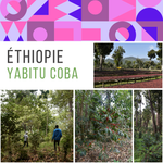 𝗘𝗧𝗛𝗜𝗢𝗣𝗜𝗘 - Yabitu coba BIO