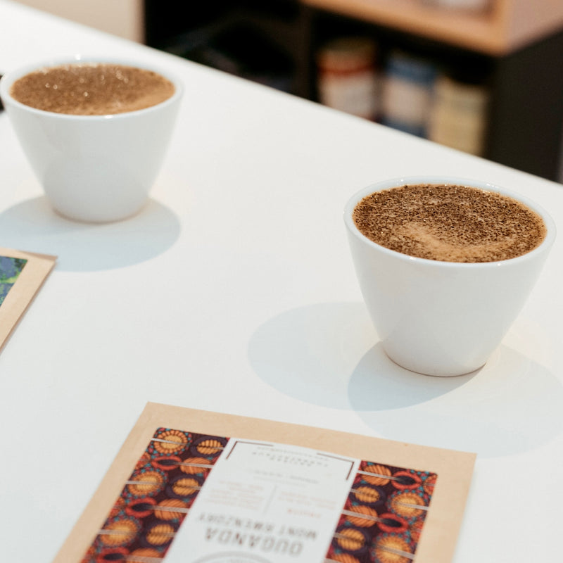 Bac à marc de café : 4 raisons de l'utiliser - Oyo Torréfaction